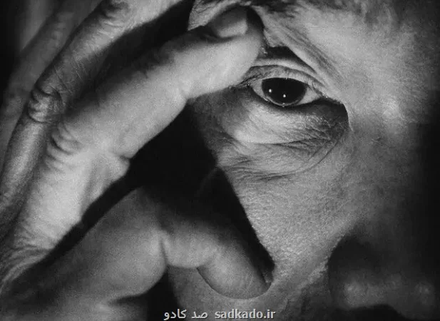 هاروكی موراكامی: می توانم به آن دنیا بروم! Image